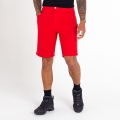 Dare2B Hiking Shorts Tuned In II Short (waterproof) red Men